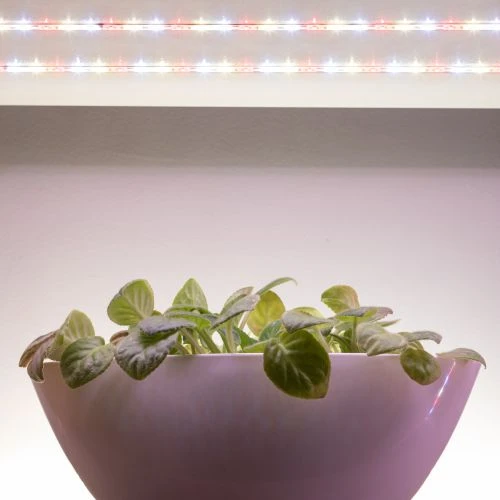 Лента светодиодная FITO-Strip Light-Rа90-3m 3м для растений полноспектральная IP65 Эра Б0059881 11