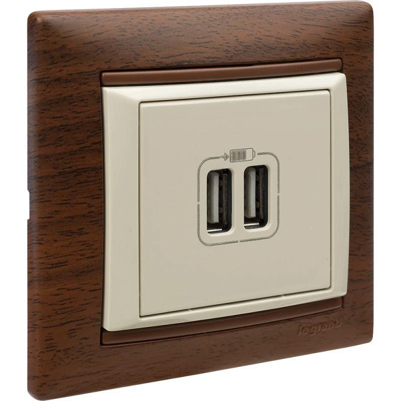 Розетка USB 2-м СП Valena сл. кость Leg 774170 8