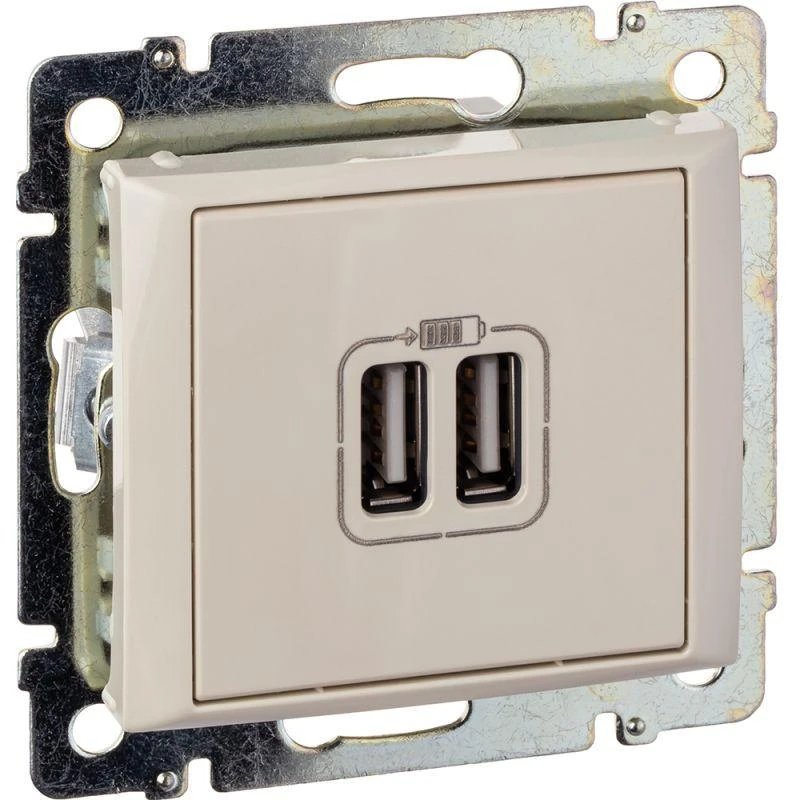 Розетка USB 2-м СП Valena сл. кость Leg 774170 13