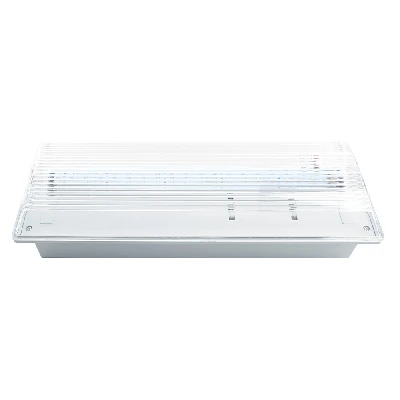 Светильник аварийный, 20 LED AC/DC, белый, EM100 41535