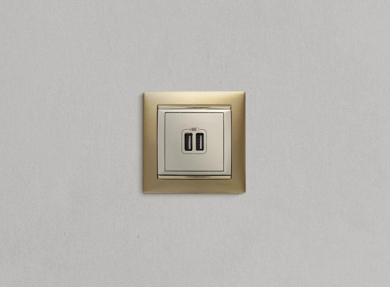 Розетка USB 2-м СП Valena сл. кость Leg 774170 18