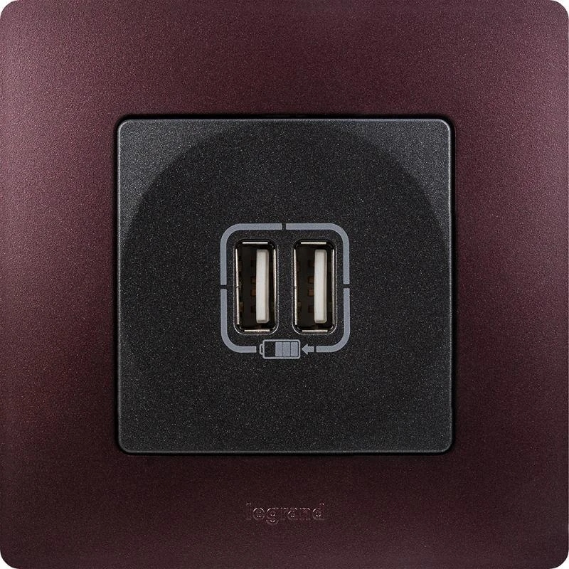 Розетка USB 2-м СП 2мод. Etika 240В/5В 2400мА механизм антрацит Leg 672694 5