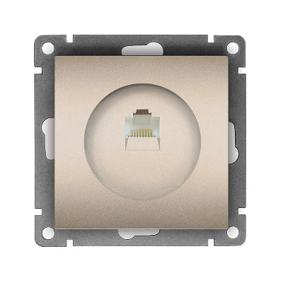 Розетка компьютерная 1-м СП Афина RJ45 кат.5E механизм шампань Universal A0051-Br