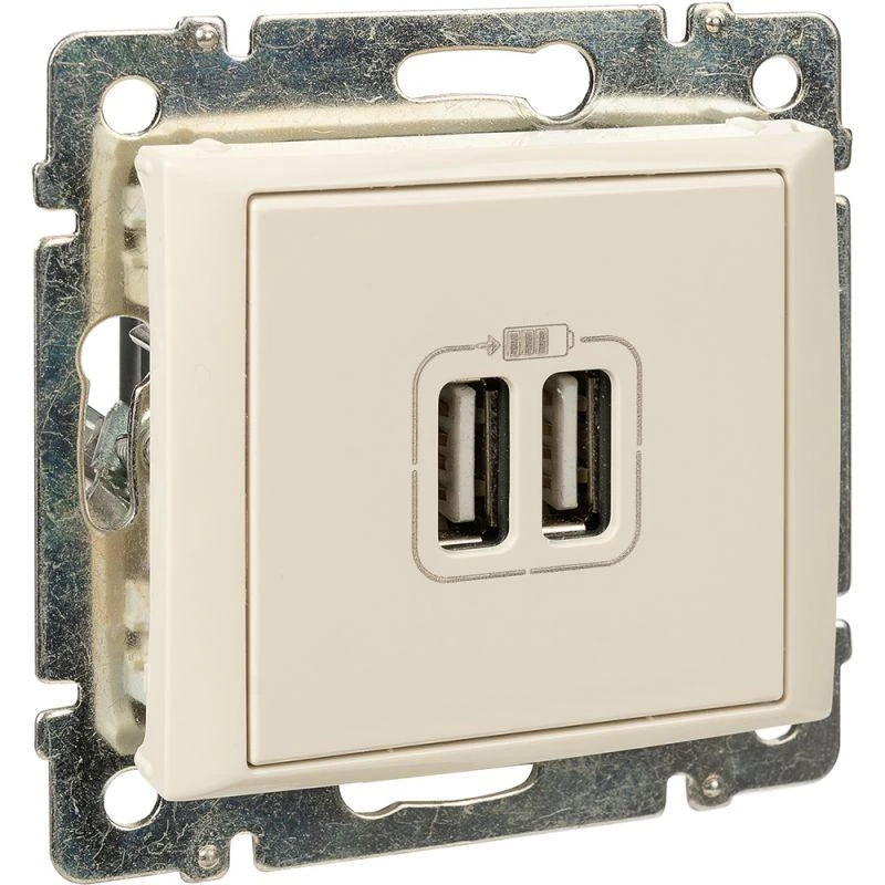 Розетка USB 2-м СП Valena сл. кость Leg 774170 16