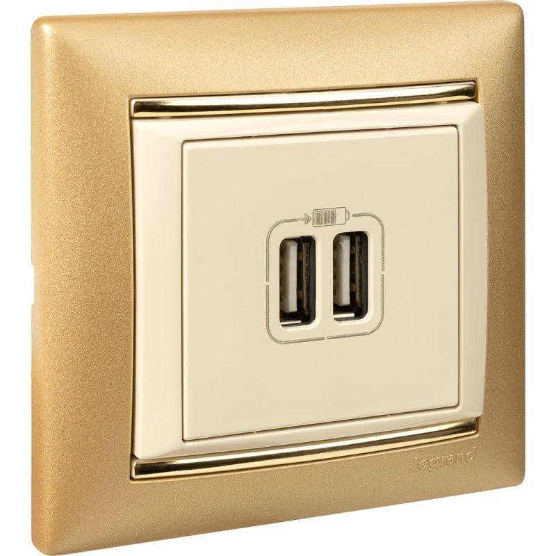 Розетка USB 2-м СП Valena сл. кость Leg 774170 7