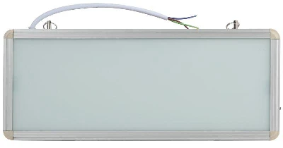 Светильник светодиодный SSA-101-0-20 3ч 3Вт без текста аварийный ЭРА Б0044387