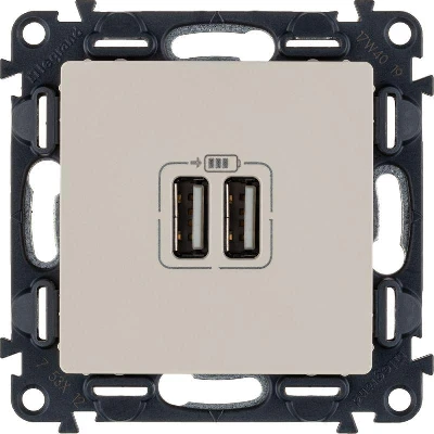 Розетка USB 2-м Valena Life 240В/5В 1500мА с лицев. панелью механизм сл. кость Leg 753512