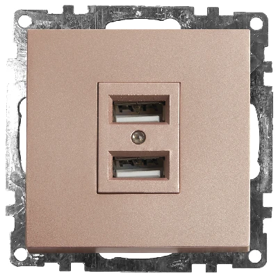 Розетка USB 2-местная (механизм), STEKKER GLS10-7115-02, 250B, 2,1A, серия Катрин, шампань 39602