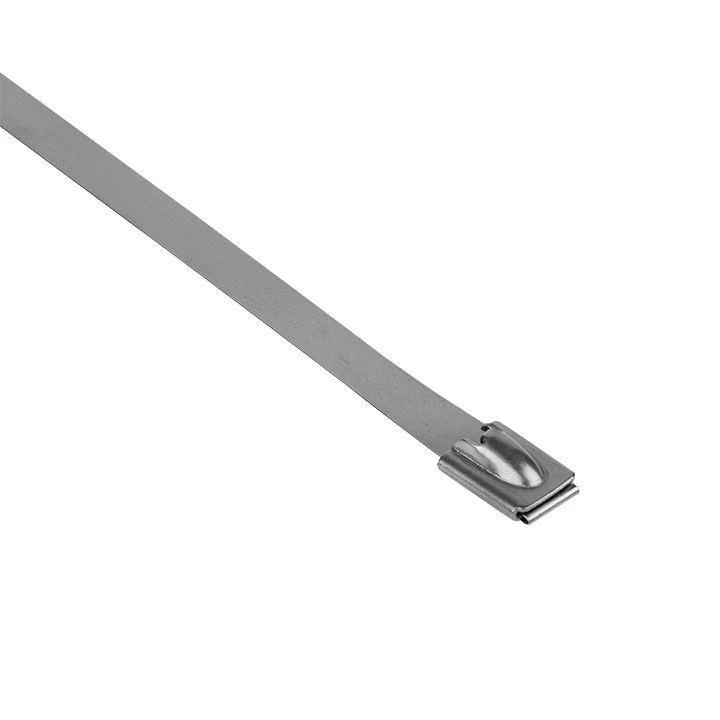Хомут AISI 304 7.9х520 нерж. сталь FlexLock (уп.10шт) PROxima EKF plc-fl-tss-304-7.9x520-r 3