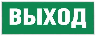 Этикетка самоклеящаяся "Выход" SSA-101 INFO-SSA-111 ЭРА Б0048480