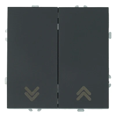 Выключатель 2-клавишный самовозвратный (механизм), STEKKER, 250В, 10А, серия Эмили, RSW10-5113-05, черный уголь, soft touch 50824