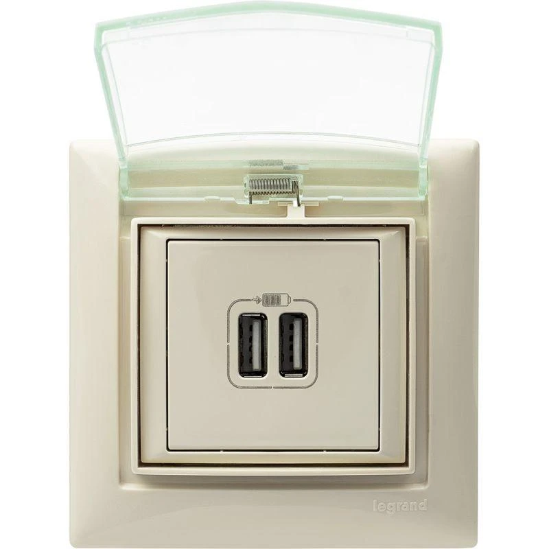Розетка USB 2-м СП Valena сл. кость Leg 774170 5