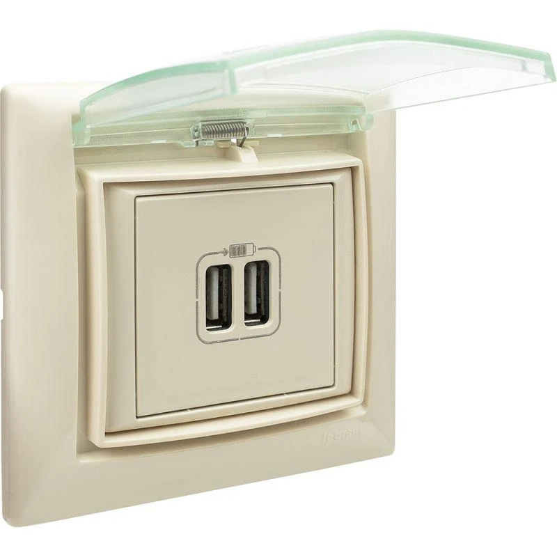 Розетка USB 2-м СП Valena сл. кость Leg 774170 9