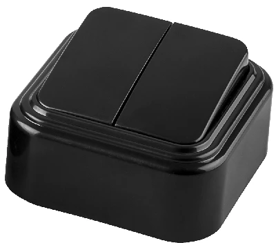 Выключатель STEKKER PSW06-22-20 двухклавишный открытой установки, 250В, 6А, IP20, черный (VA5 6-232-Ч) 32745