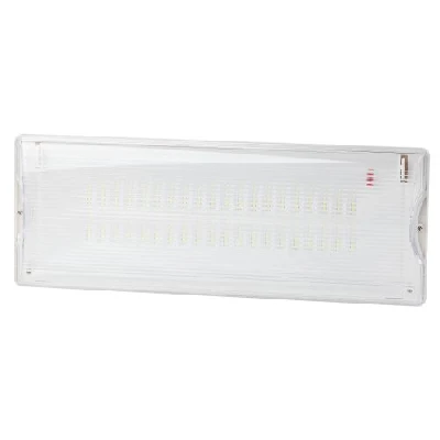 Светильник светодиодный DPA-301-0-65 IP65 40LED 3ч аварийный непостоянный Проектный Эра Б0044405