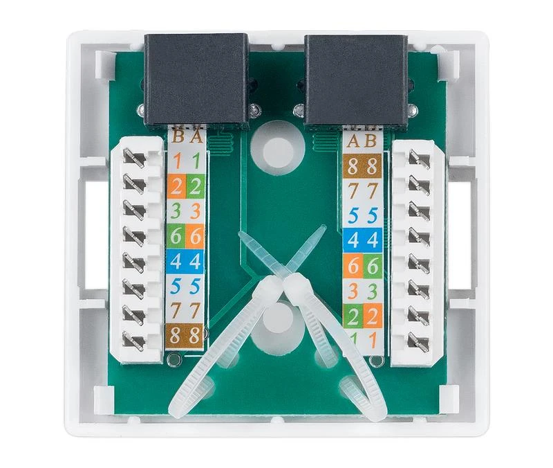 Розетка компьютерная 2-м ОП WS-8P8C-Cat.5e-2 RJ45 кат.5E Dual IDC Cabeus 7247c 2